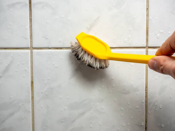 Best Mold Remediation  in Seward, AK