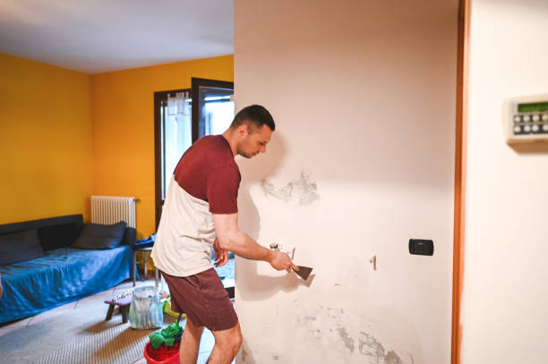 Best Emergency Mold Removal  in Seward, AK