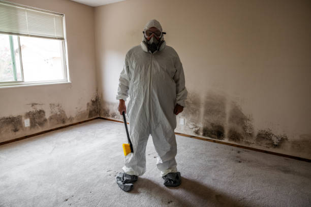 Best Local Mold Removal Service  in Seward, AK